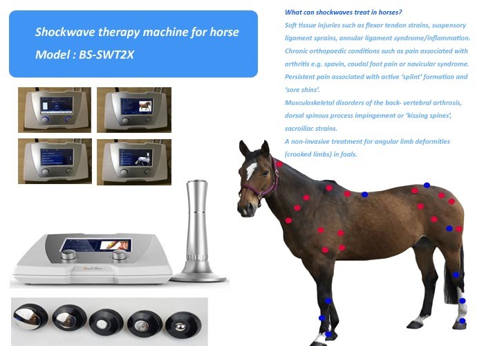High Pressure Adjustable 1-22Hz Shockwave Machine For Horse Treatment