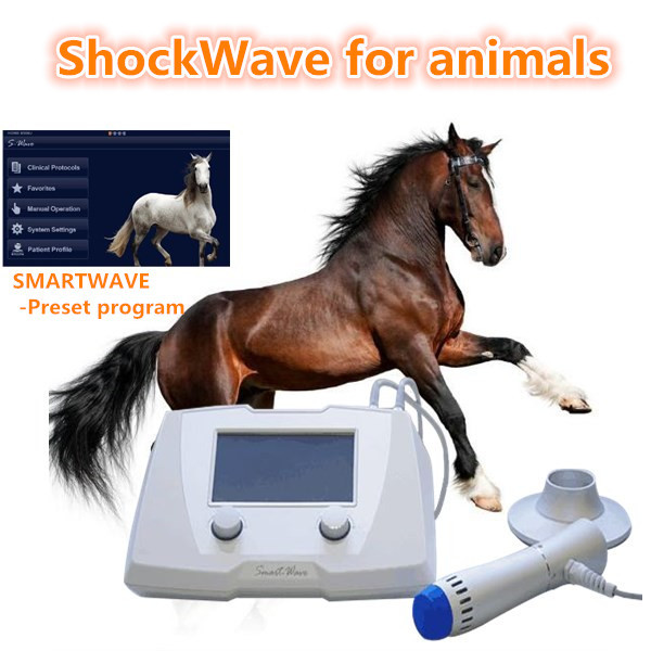 Veterinary Equine Shockwave Machine Equipment For Dogs / Horses White Color