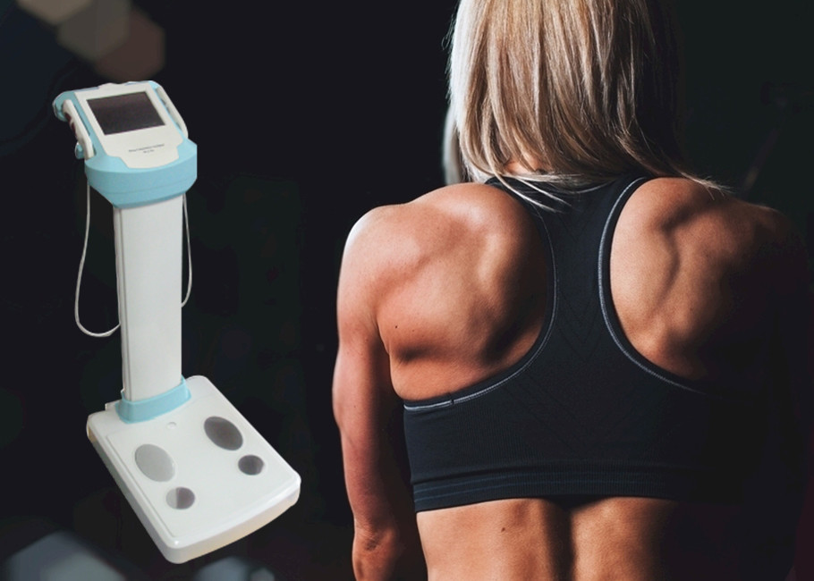 Professional Body Composition Analyzer / Body Analysis Machine With LCD