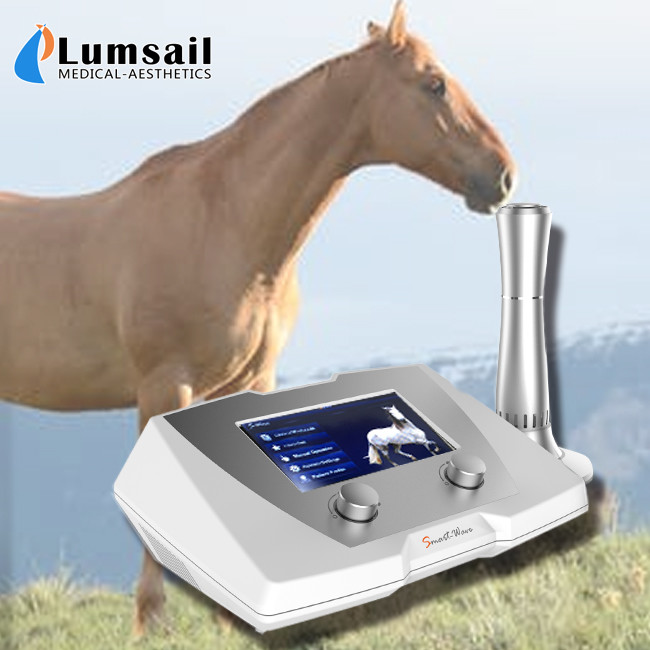 Clinic Horse Shockwave Therapy Machine 1 22 Hz Frequency For Suspensory Ligament Disease